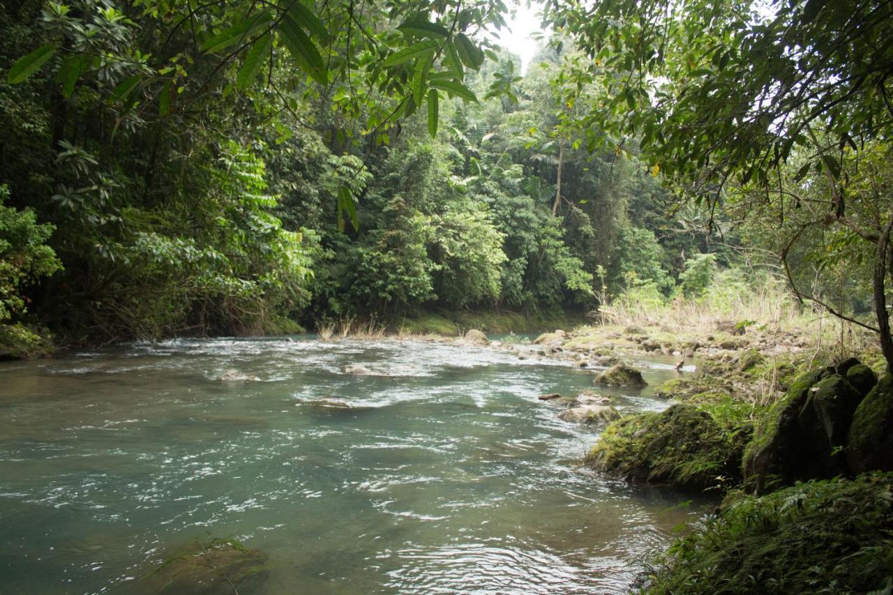 Rio Agujitas Eco Farm Hostel And Tours Drakes Bay Εξωτερικό φωτογραφία