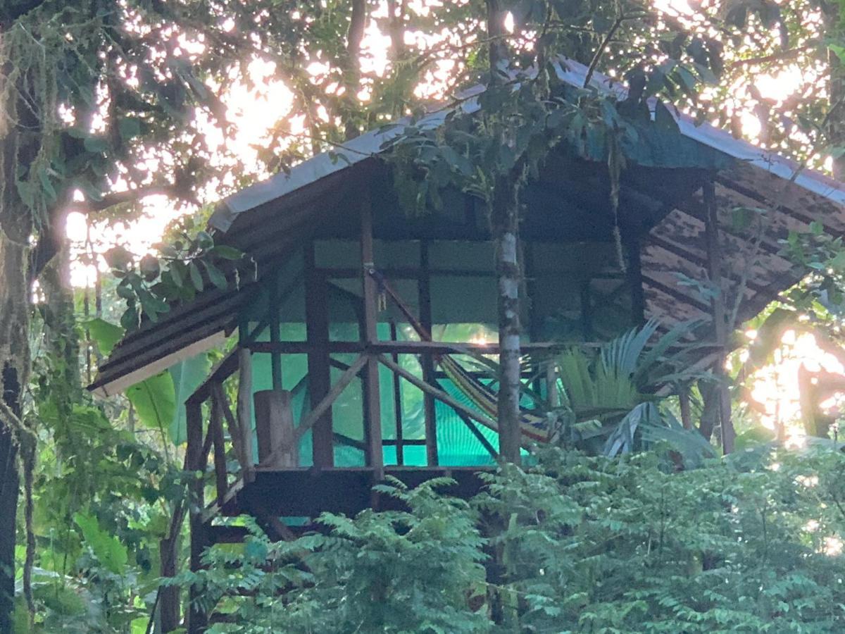 Rio Agujitas Eco Farm Hostel And Tours Drakes Bay Εξωτερικό φωτογραφία