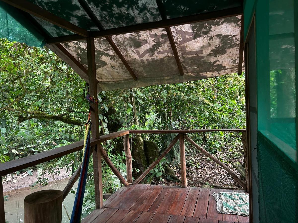 Rio Agujitas Eco Farm Hostel And Tours Drakes Bay Εξωτερικό φωτογραφία