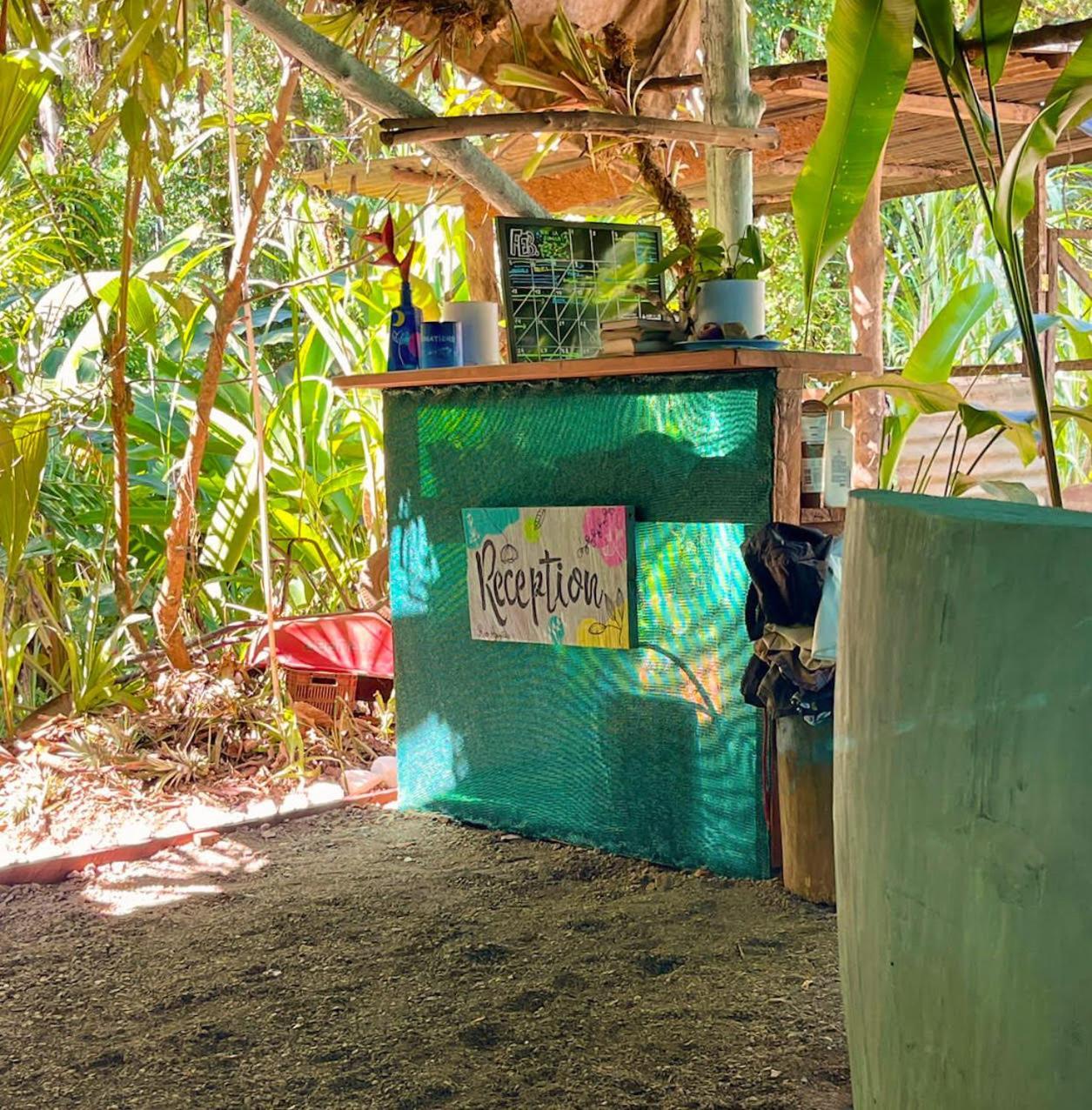 Rio Agujitas Eco Farm Hostel And Tours Drakes Bay Εξωτερικό φωτογραφία
