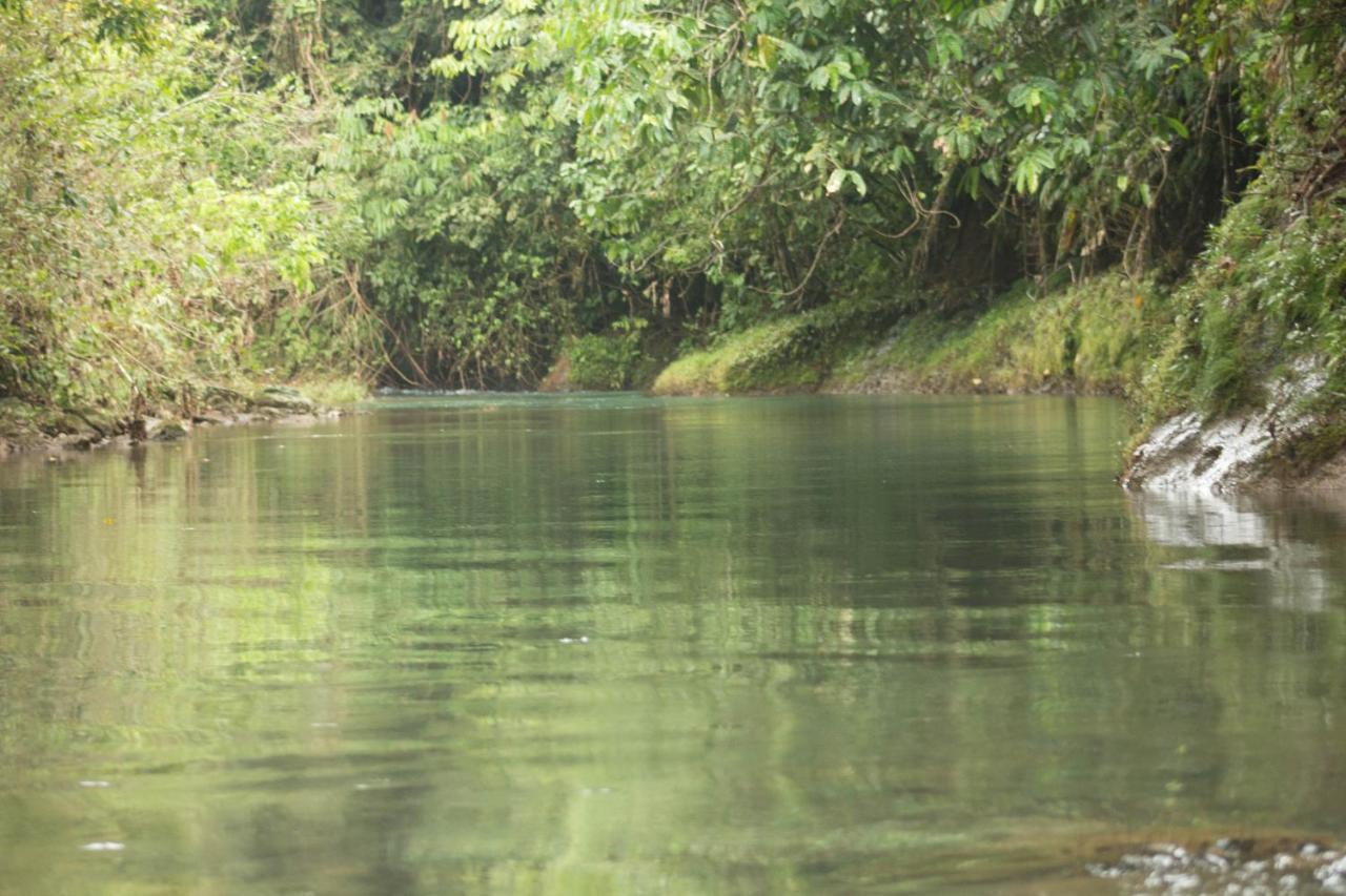 Rio Agujitas Eco Farm Hostel And Tours Drakes Bay Εξωτερικό φωτογραφία